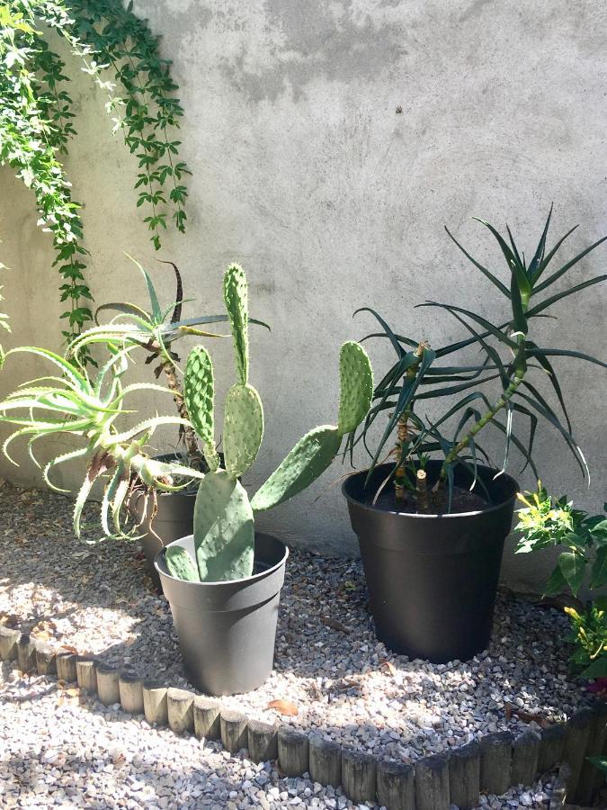 Dans Une Maison, Appartement Independant Et Jardin Perpignan Exteriör bild